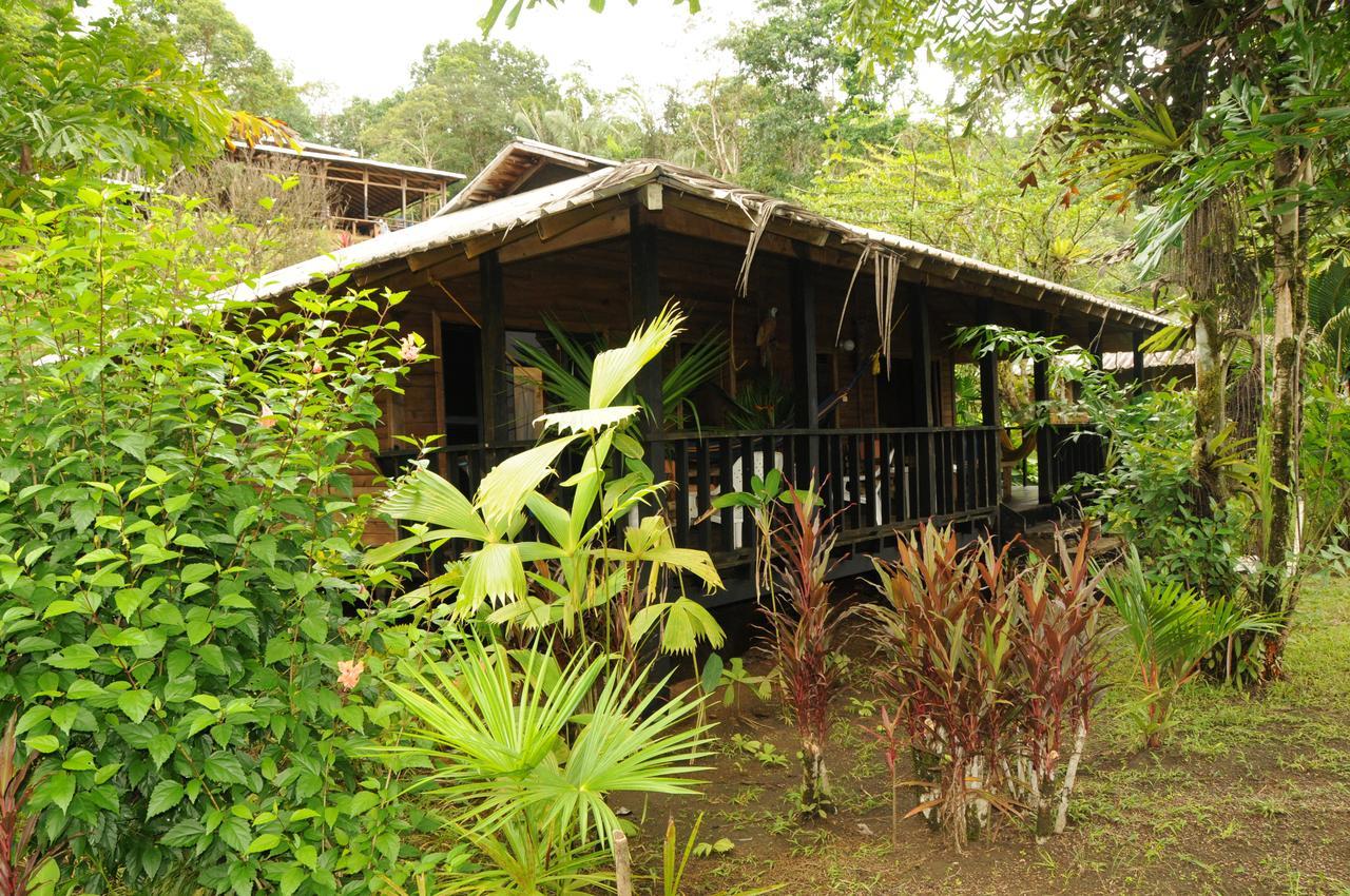 Mapara Crab Lodge Bahia Solano Exterior foto